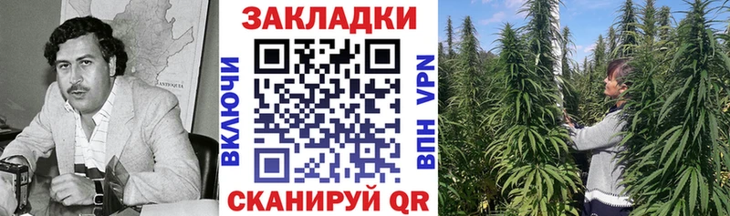 Наркотические вещества Родники Бутират  A-PVP  Бошки Шишки  Псилоцибиновые грибы  Cocaine  Амфетамин 