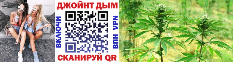 МЕФ Родники