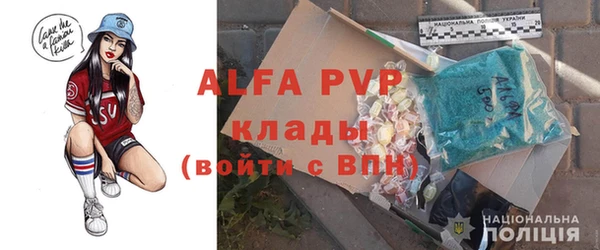 шишки Алзамай