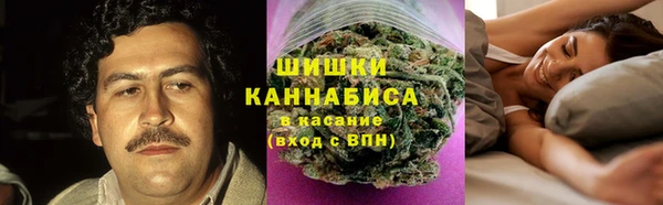 шишки Алзамай