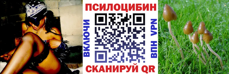 продажа наркотиков  Родники  Псилоцибиновые грибы Cubensis 