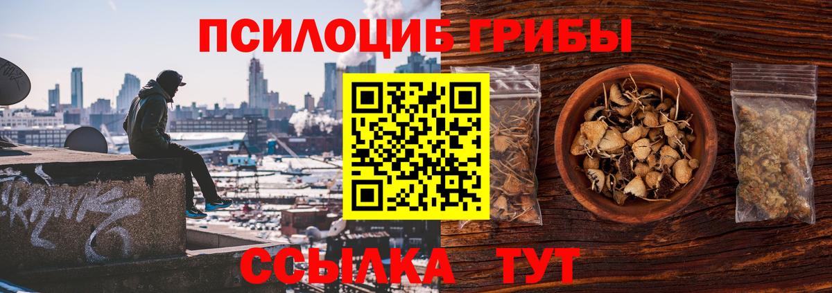 Псилоцибиновые грибы мицелий Родники