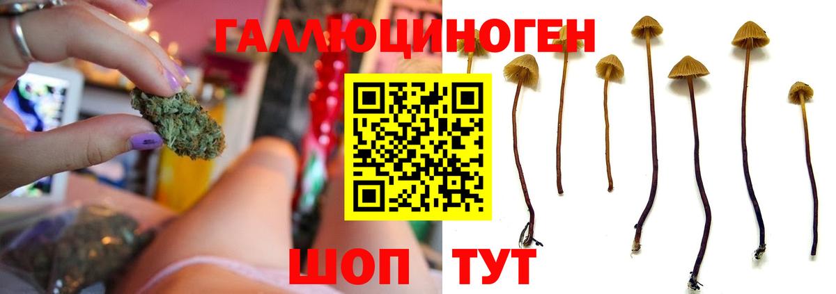 Родники  Псилоцибиновые грибы Psilocybe  Псилоцибиновые грибы мухоморы  Вход с VPN 